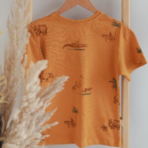 ست تابستانه پسرانه داینو (2)