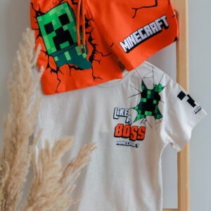 ست تابستانه پسرانه ماین کرافت (2)