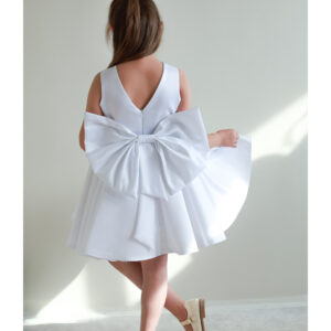 پیراهن پرنسسی پاپیون