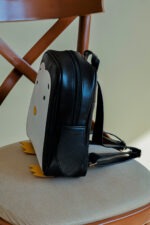 کوله پنگوین (2)