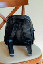 کوله پنگوین (3)