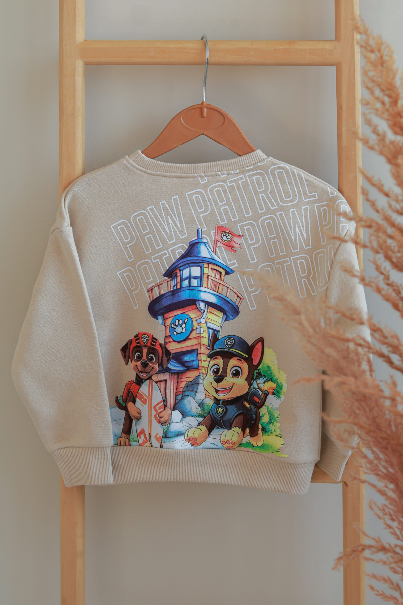 لباس راحتی سگ های نگهبان